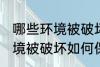 哪些环境被破坏怎样保护环境 哪些环境被破坏如何保护环境