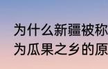 为什么新疆被称为瓜果之乡 新疆被称为瓜果之乡的原因