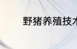 野猪养殖技术 野猪养殖技巧