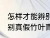 怎样才能辨别真假竹叶青 如何才能辨别真假竹叶青