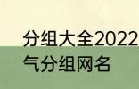 分组大全2022最新版的 高冷二字霸气分组网名