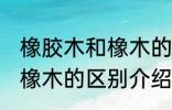 橡胶木和橡木的区别是什么 橡胶木和橡木的区别介绍