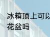 冰箱顶上可以放花盆吗 冰箱顶上能放花盆吗