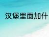 汉堡里面加什么 汉堡里面加哪些菜