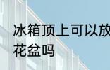 冰箱顶上可以放花盆吗 冰箱顶上能放花盆吗