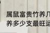 属鼠富贵竹养几支最旺运 属鼠富贵竹养多少支最旺运