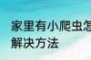 家里有小爬虫怎么办 家里有小爬虫的解决方法