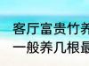 客厅富贵竹养几支最旺运 水养富贵竹一般养几根最旺财