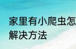 家里有小爬虫怎么办 家里有小爬虫的解决方法