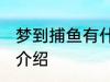 梦到捕鱼有什么兆头 梦见捕鱼的寓意介绍