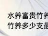 水养富贵竹养几支最旺运财 水养富贵竹养多少支最旺运财