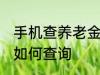 手机查养老金怎么查询 手机查养老金如何查询