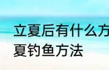 立夏后有什么方法好钓鱼快速上钓 立夏钓鱼方法