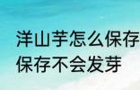 洋山芋怎么保存不会发芽 洋山芋如何保存不会发芽