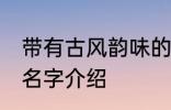 带有古风韵味的名字 带有古风韵味的名字介绍