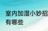 室内加湿小妙招有哪些 室内加湿方法有哪些