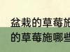 盆栽的草莓施什么肥好不要化肥 盆栽的草莓施哪些肥好不要化肥