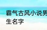 霸气古风小说男主名字 古风儒雅的男生名字