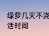 绿萝几天不浇水会死 不浇水的绿萝成活时间