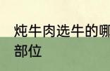 炖牛肉选牛的哪个部位 炖牛肉的最佳部位