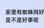 家里有蜘蛛网好事坏事 家里有蜘蛛网是不是好事呢