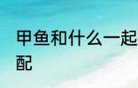 甲鱼和什么一起煲汤好喝 甲鱼煲汤搭配